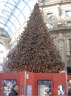 albero_galleria01