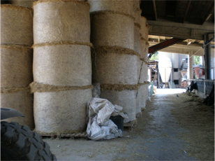 fattoria03