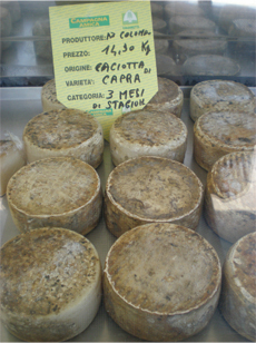 fattoria05